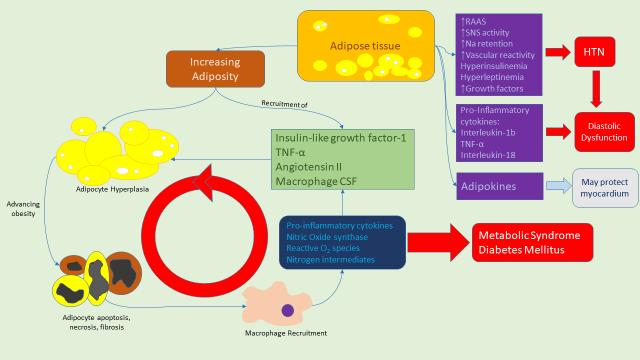 doi:10.