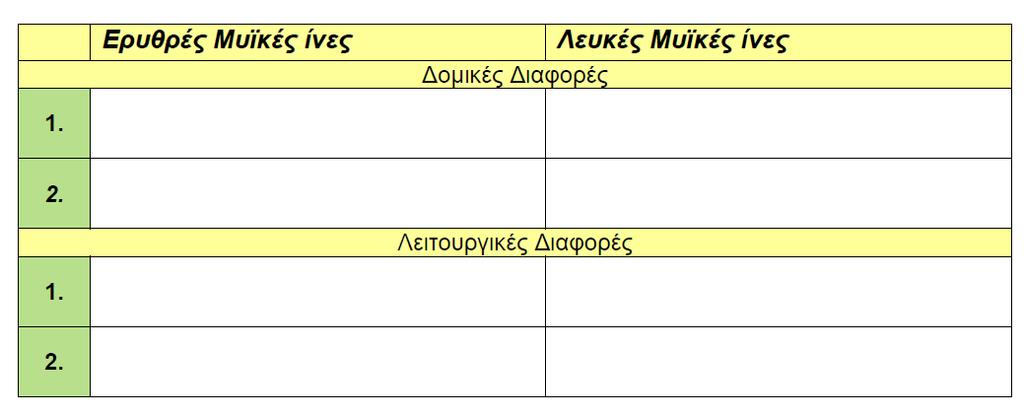 γ) Nα γράψετε δύο (2) δομικές και δύο (2) λειτουργικές διαφορές μεταξύ ερυθρών μυϊκών ινών και λευκών μυϊκών ινών. Ερώτηση 6 (8 Χ 0.25μ=2μ) μ:.