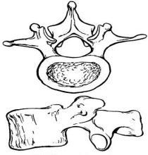 (β) Στις πιο κάτω εικόνες φαίνονται δύο (2) οστά του ανθρώπινου οργανισμού.