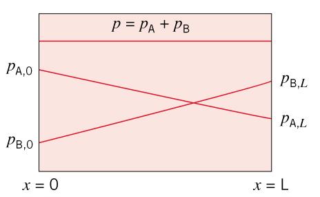 dn z 0 dz Δηλαδή, το N z είναι σταθερό σε όλο το μήκος διάχυσης. Προφανώς, στο ίδιο συμπέρασμα θα φτάσουμε και με το ισοζύγιο του Α σε μία διαφορική «φέτα».