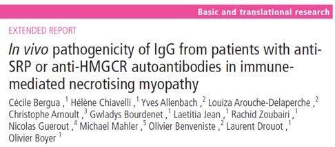 IgG από αντι-srp+ ή αντι-hmgcr+ασθενείς με IMNM προκαλούσε μυϊκή αδυναμία σε πειραματόζωα Αυτή ήταν ηπιότερα, αν τα ζώα ήταν C3