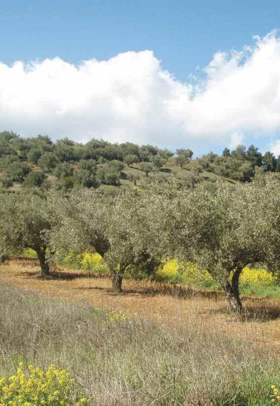 5. Μέριμνα για την προστασία του περιβάλλοντος Εφαρμόζουμε βέλτιστες πρακτικές, στο πλαίσιο της συνεχούς βελτίωσης της περιβαλλοντικής