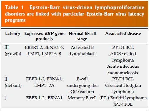 EBV