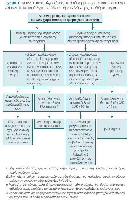 ΚΕΕΛΠΝΟ 2015 Ελληνική Εταιρεία Χημειοθεραπείας: 2017 Mermel L.