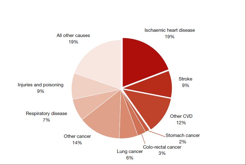 DEATHS BY CAUSE, MALES,