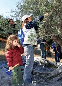 Εθελοντική Εκδήλωση για το
