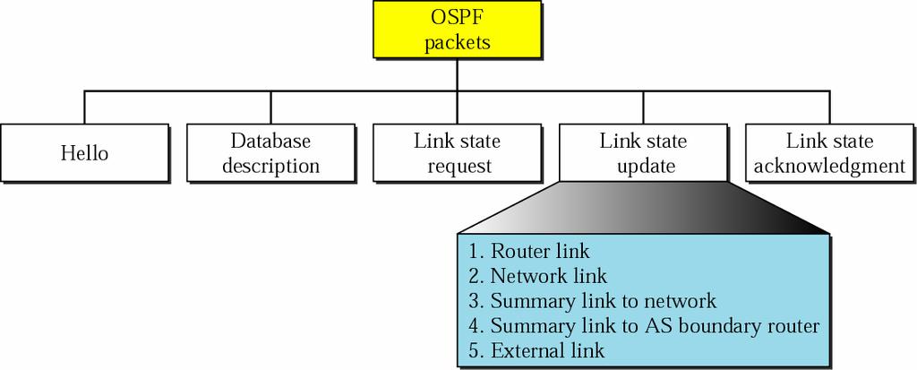 Types of OSPF Packets LSA
