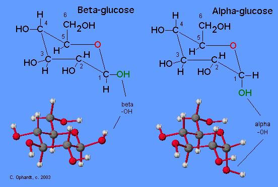 α ( ) και β ( ) ανωμερή Ο ανωμερικός C είναι ασύμμετρος στερεοϊσομερή ανωμερικός C