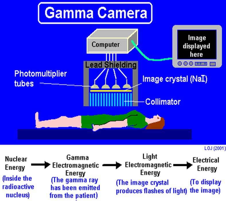 tracer Gamma rays
