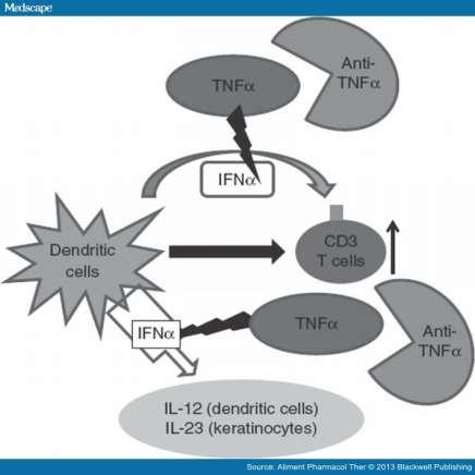 Παθοφυσιολογικό υπόβαθρο Η καταστολή του TNF οδηγεί σε αυξημένη και ανεξέλεγκτη λειτουργία των DCs και σε