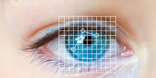 Αναγνώριση της ίριδας (iris recognition), όπως φαίνεται στη Εικόνα 2. Αποτελεί μια από τις πιο αξιόπιστες μεθόδους αναγνώρισης λόγω της μοναδικότητας της μορφολογίας.