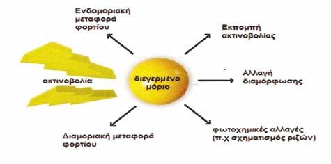 10. Φασµατοσκοπία φθορισµού Το φαινόµενο της εκποµπής ακτινοβολίας από κάποιο υλικό καλείται φωταύγεια.