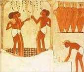 Χρήση αλκοολούχων ποτών με Ζύμωση Σουμέριοι 6500 π.χ. Αίγυπτος 3000 π.χ.ζύμωση κριθαριού = μπύρα 4000π.