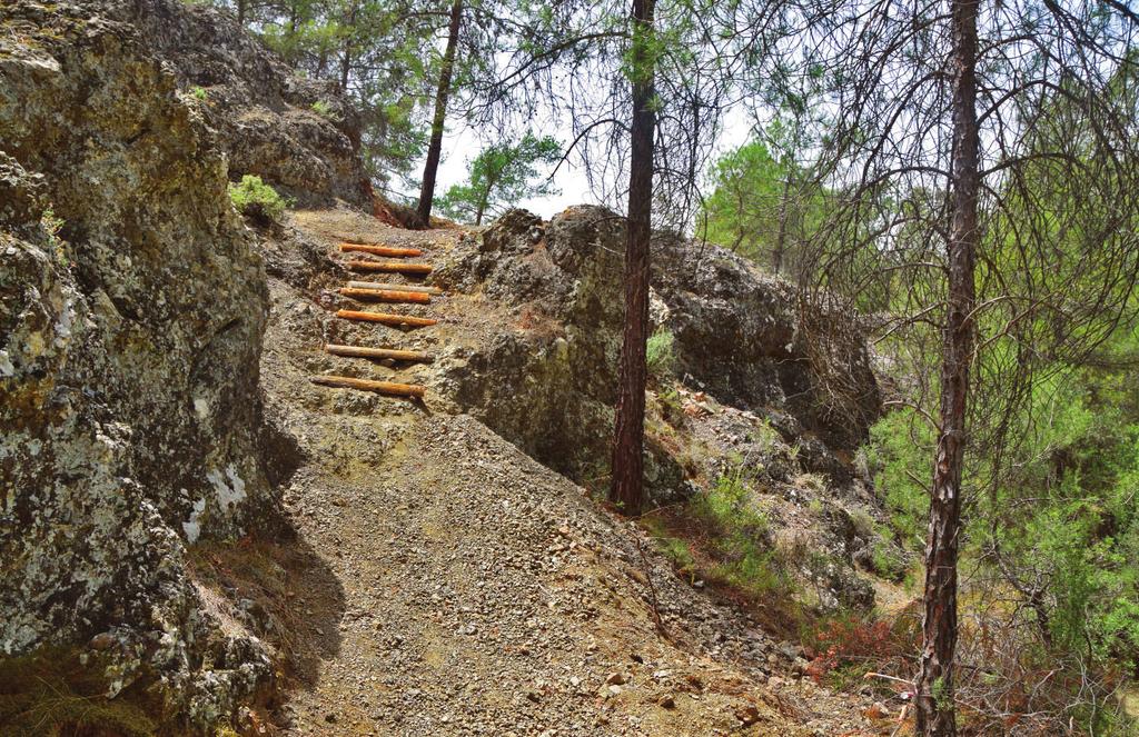 σης της Φύ ύ ο ι τ α οπ γία Μον Δημιουρ ίησ Υλοπο 18 ου 20 η έργ