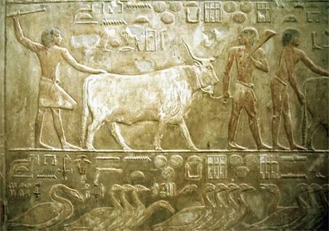 Ptahhotep, Σακκάρα.
