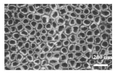 ΕΙΣΑΓΩΓΗ - 11 - Σχήμα5. Νανοσωλήνες τιτανίου.(www.google.com) 1.4 Στηριγμένοι Καταλύτες Βαναδίου σε Τιτάνια (VOx/Ti2O).