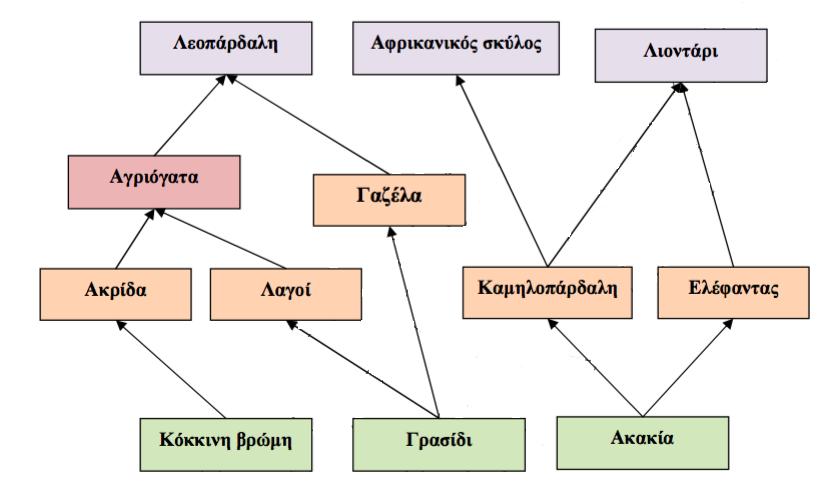 Δ2. Στο παρακάτω πλέγμα απεικονίζεται μέρος των τροφικών σχέσεων οργανισμών μιας σαβάνας Α.