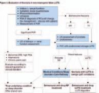 J Pelvic Floor Dysfunct 2007; 18:737 741 Νυκτουρία στους άνδρες: ψάχνοντας εκτός του προστάτη! Multifactorial nature of male nocturia. Chang SC, Lin AT, Chen KK, Chang LS.