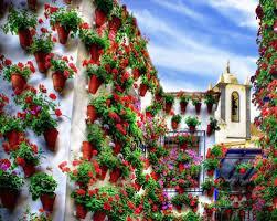 Η Γιορτή των Σταυρών του Μαΐου (Cruces de mayo) όπου δρόμοι και πλατείες στολίζονται με εκατοντάδες σταυρούς φτιαγμένους από λουλούδια, και η Γιορτή των Αυλών (Feria de los Patios), όταν πολλά σπίτια