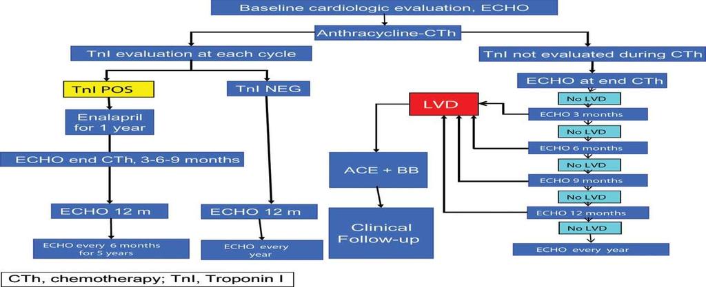 Algorithm for the management of cardiotoxicity in patients
