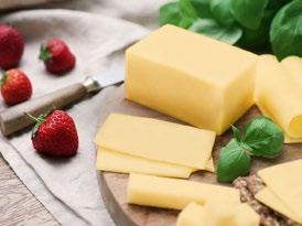 Vegan products VEGAN GOUDA FLAVOUR Το Gouda Vegan της Gusto Dairy είναι η ιδανική πρόταση για όσους δεν θέλουν να τρώνε γαλακτοκομικά προϊόντα.