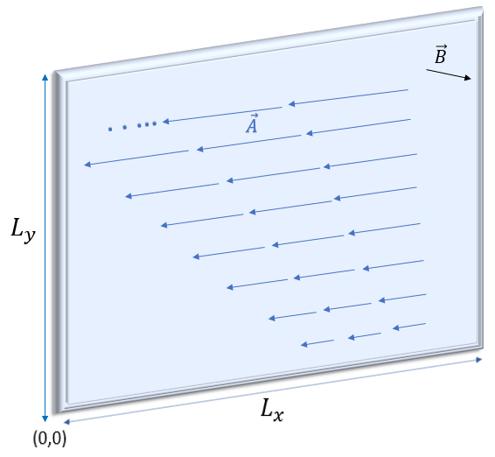 Το Ακέραιο Κβαντικό Φαινόμενο Hall 24 Επιλέγουμε τη βαθμίδα: A = ybˆx, η οποία είναι αναλλοίωτη κάτω από μετατοπίσεις στη διεύθυνση x, όπως φαίνεται και στο σχήμα (1.5.