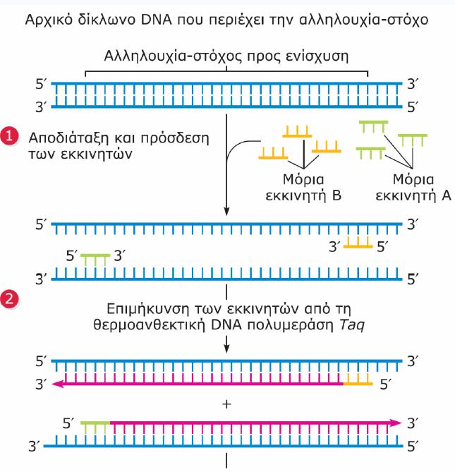 Στάδια