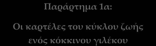 παραγγελία ι- νών πολυεστέρα από το εργοστάσιο κλωστοϋφαντουργίας προς το διυλιστήριο πετρελαίου).