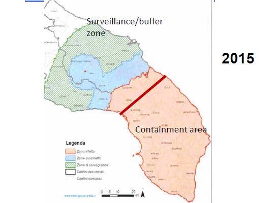 Xylella fastidiosa Μεταφορά του παθογόνου σε