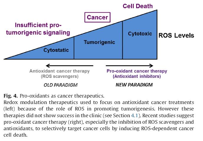 Το νέο επιστημολογικό παράδειγμα Προ-οξειδωτικά για τη θανάτωση των καρκινικών κυττάρων
