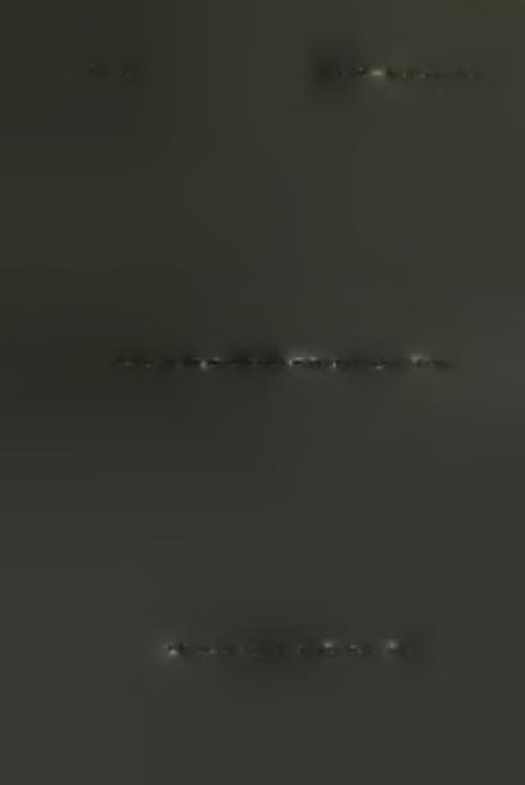τάφος 2 άπό Β.