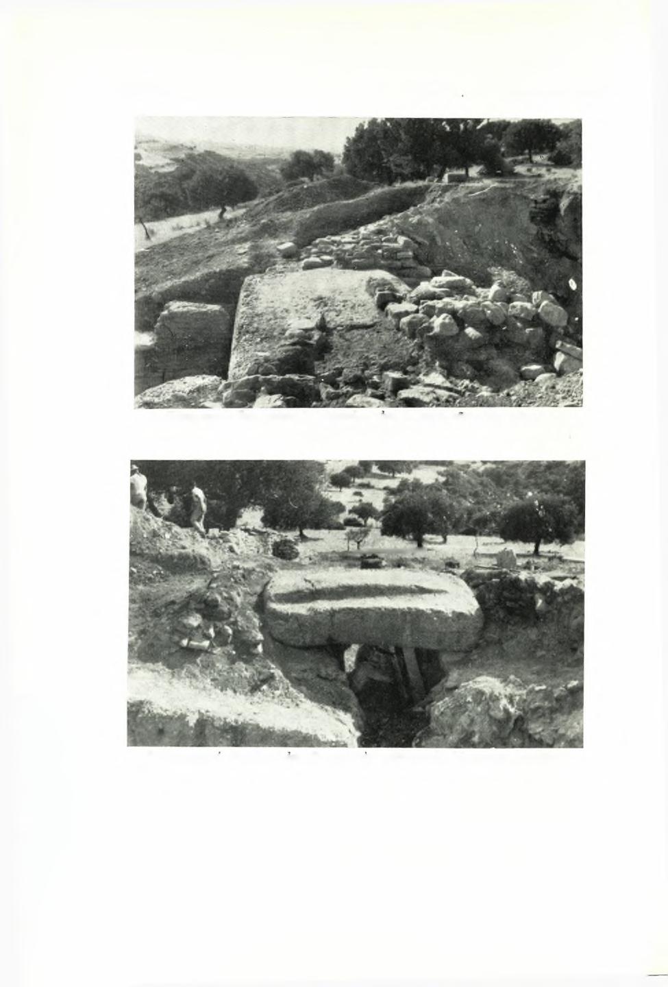 ΠίΝΑΞ 126 ΠΑΕ 1961 24.