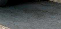 Γκρι ύφασμα και πλαϊνά ενισχυτικά Κεντρική κονσόλα σε Γκρι ανοιχτό Πλαίσια Αεραγωγών στο χρώμα του αμαξώματος Επένδυση λεβιέ