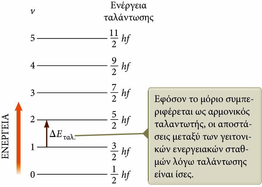 Ενέργεια ταλάντωσης (τελική διαφάνεια) Οι επιτρεπτές τιμές της ενέργειας ταλάντωσης δίνονται από τη σχέση: E v ταλ.