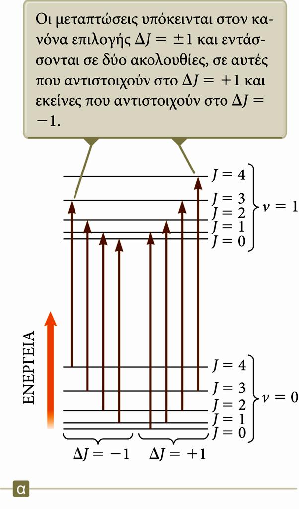 Το διάγραμμα ενεργειακών σταθμών του μορίου Σε κάθε επιτρεπτή τιμή του κβαντικού αριθμού ταλάντωσης v αντιστοιχεί ένα πλήρες σύνολο σταθμών περιστροφής με αριθμούς J = 0, 1, 2, Η ενεργειακή απόσταση