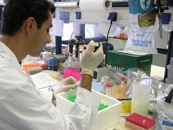 Εγκαταστάσεις Γενετική και Μοριακή Βιοτεχνολογία Το Τμήμα διαθέτει ένα από τα καλύτερα εξοπλισμένα γενετικά εργαστήρια σε ευρωπαϊκό επίπεδο για θαλάσσιες γενετικές μελέτες με συσκευές τελευταίας