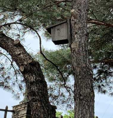 το σπίτι των φυτών και των
