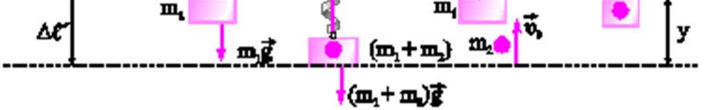 y ελ ( m + m () ) g l = l =, (m) () K Το σσσωμάτωμα εκτελεί Α.Α.Τ με Θ.Ι.Τ. τη ΘΙmm και εφόσον ακινητοποιείται στη Θ.Φ.