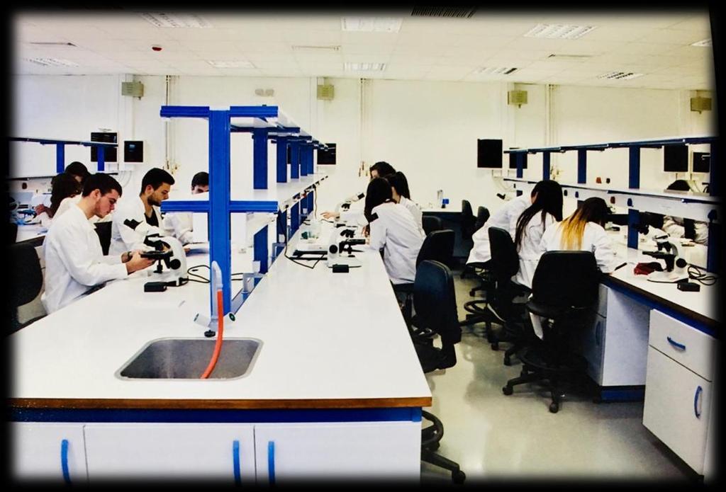 Οδηγός Σπουδών 2018-2019 ΠΡΟΠΤΥΧΙΑΚΕΣ ΣΠΟΥΔΕΣ (α κύκλος σπουδών) ΓΕΝΙΚΕΣ ΠΛΗΡΟΦΟΡΙΕΣ Δομή του Προπτυχιακού Προγράμματος Σπουδών (ΠΠΣ) Το περιεχόμενο σπουδών του Τμήματος περιλαμβάνει τις ακόλουθες