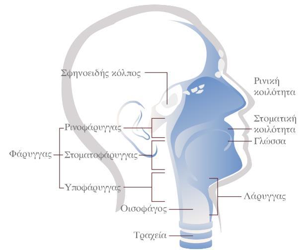 εκστρατείας Make Sense που