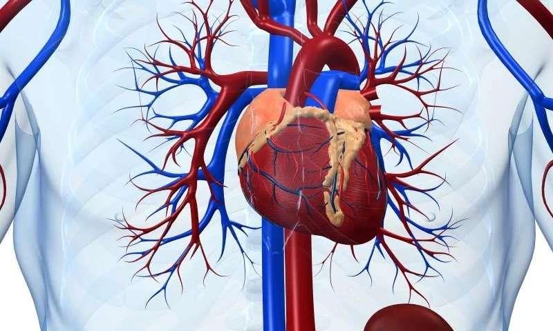 ΑΝΤΙΜΕΤΩΠΙΣΗ ΣΤΕΦΑΝΙΑΙΑΣ ΝΟΣΟΥ ΣΕ ΧΝΑ Ομάδα υψηλού κινδύνου συχνά καρδιαγγειακά συμβάντα συχνές αιμορραγικές επιπλοκές