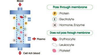 Διαχωρισμός πλάσματος μέσω μεμβράνης Το αίμα διέρχεται μέσα από μεμβράνη με πόρους που επιτρέπει την διέλευση