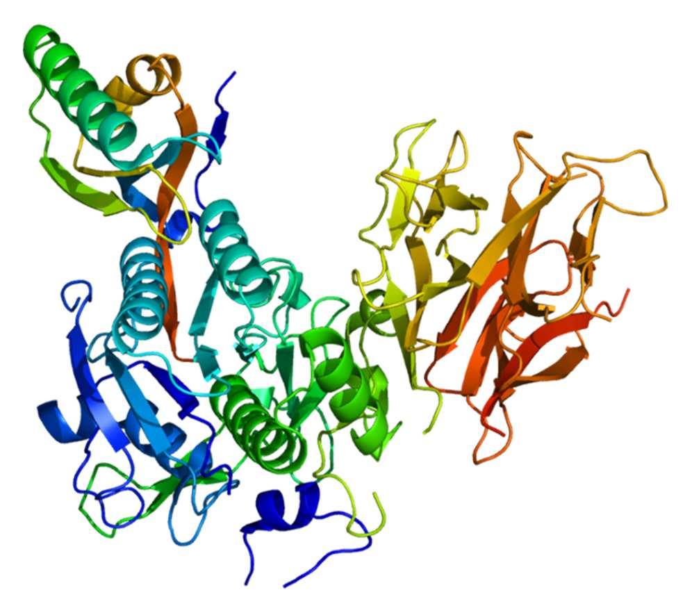 1) Τι είναι η PCSK9; 1) Είναι μια πρωτεάση (proprotein convertase subtilisin kexin type 9) 2)Το 2003 έγινε για πρώτη φορά περιγραφή μεταλλάξεων του γονιδίου που συνθέτει την PCSK9 οι