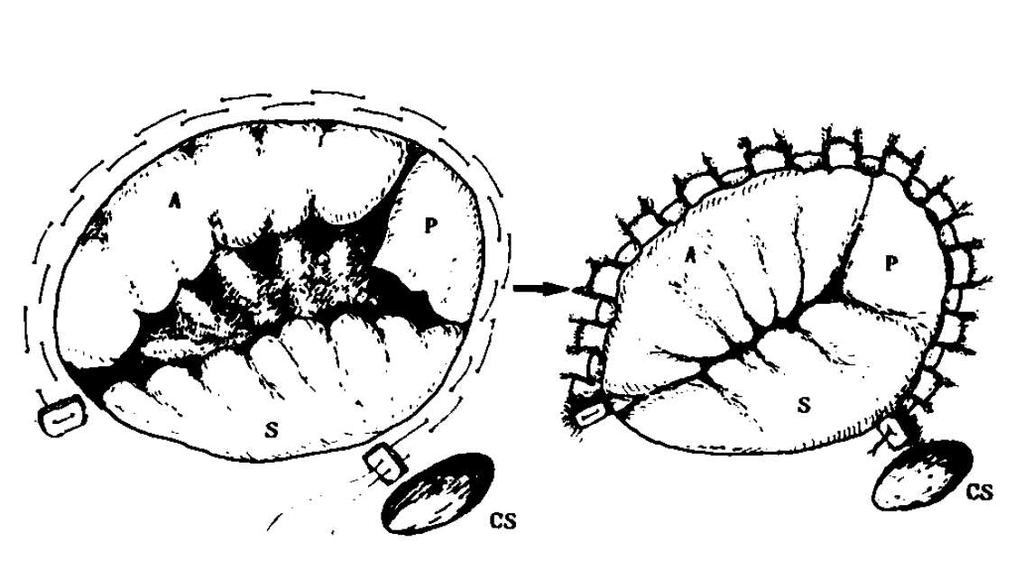 Jeng Wei et al.