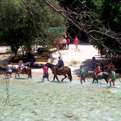 (ΕΕ) 651/2014. Είδος ενίσχυσης και ποσά στήριξης Η ενίσχυση χορηγείται στο δικαιούχο με τη μορφή επιχορήγησης και το ύψος της υπολογίζεται βάσει των επιλέξιμων δαπανών.