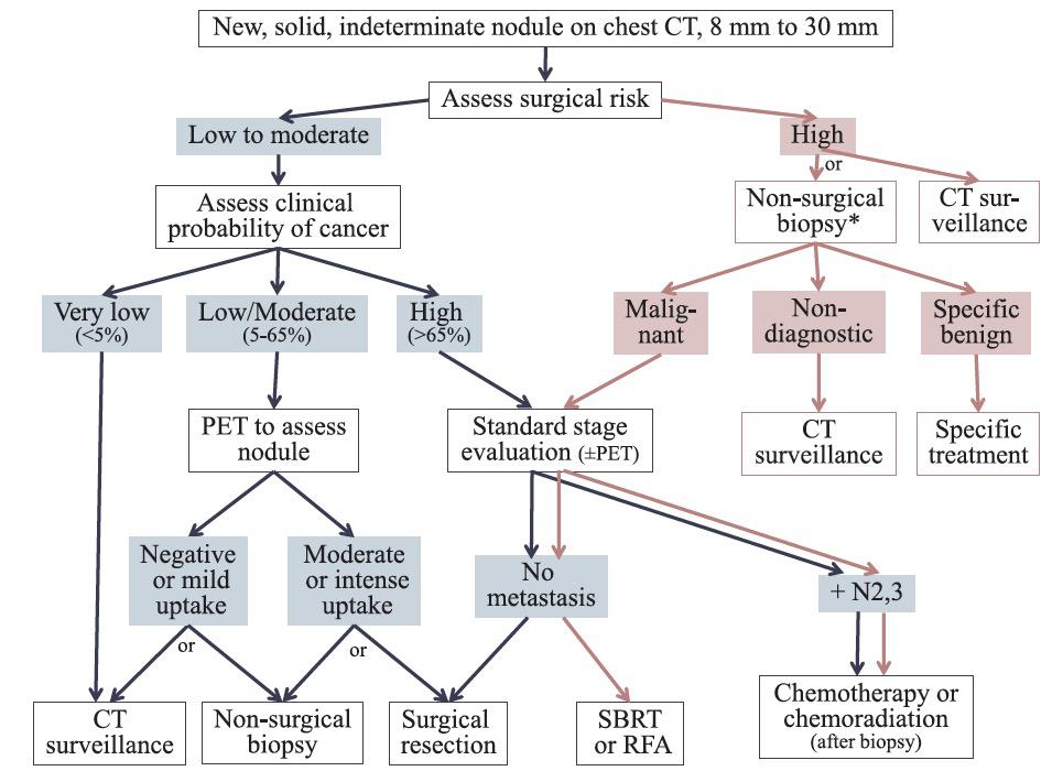 χειρισμός SPN >8mm (CHEST) Gould M, et al.