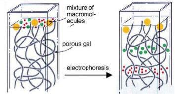 Ens et al.
