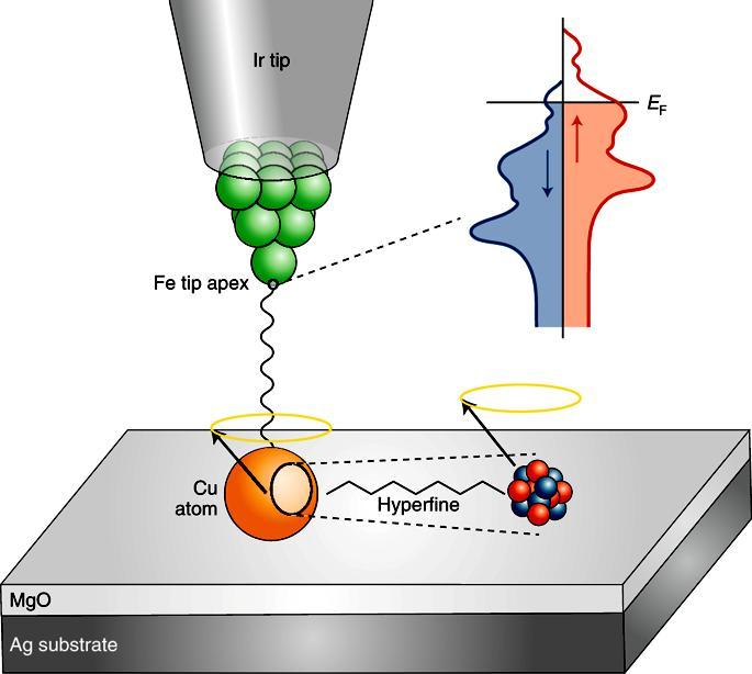 STM Με εφαρμογή μιας τάσης ραδιοσυχνότητας στην επαφή ενός μικροσκοπίου σήραγγας έγινε δυνατή η ανίχνευση του πυρηνικού σπιν
