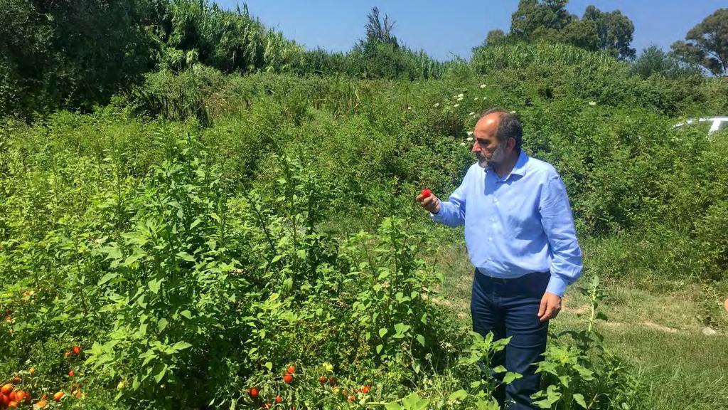 Μετασχηματίζουμε την παραγωγή Από την παραγωγική ανασυγκρότηση Αναπτύσσουμε το μέλλον μας στον παραγωγικό μετασχηματισμό μονάδες επιπλέον στην διαμόρφωση του τελικού περιφερειακού προϊόντος.