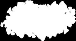 Χρήση 3-6 μήνες * Ύψος Διάμετρος 13,50 cm 7,00 cm MAX 6 Κωδ EW-015-0100 ΑΝΤΑΛΛΑΚΤΙΚΟ ΦΙΛΤΡΟ ΠΛΥΝΤΗΡΙΟΥ 0,5 Kg Οι πολυφωσφορικοί κρύσταλλοι είναι το υλικό που προστατεύει το πλυντήριο ρούχων και